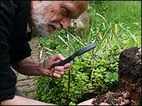 Martin Woolmer looks for woodlice