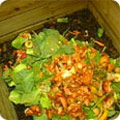 Compost heap