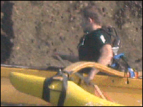 Dan in action!
