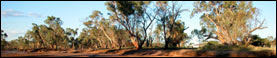 Wasting Away in the Outback