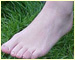 foot