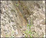 Orange stripe shows volcanic activity