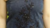 Trouser top