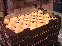 Box of food