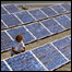 Técnico realiza trabalhos de manutenção em painéis solares na França