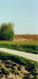 Beaumont Hamel - site of the battleground today