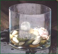 pebbles in vase