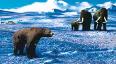 Mammoths and a short-faced bear