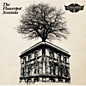 Review of The Flowerpot Sessions 