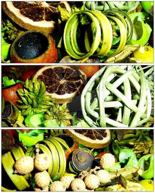 Still Life