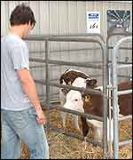 Royal Show