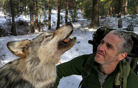 Expedition Wolf