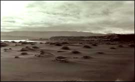Dunes Chile