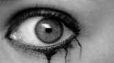 Watching you... Watching you...