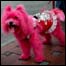 Cachorro pintado nas cores chavistas