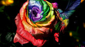 Rainbow Nectar... Rainbow Nectar...
