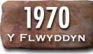 Blwyddyn