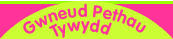 Gwneud Pethau Tywydd