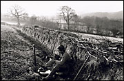 Hedgers' lunch break, 1980