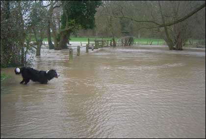 Flooded bridge