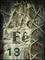 'On the 18th day' by Clive Haynes