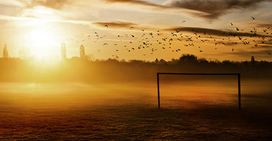 A New Beginning