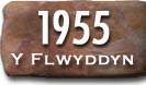 Blwyddyn