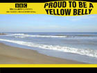 Wallpaper Thumbnail: Proud to be a Yellowbelly  design 1