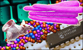 Computers and science montage