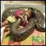 Cobra e garoto