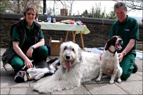 People and dogs 470