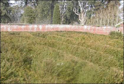 Maze picture