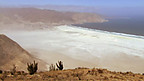 Diffeithdir Atacama