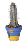 Desert pot