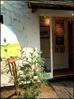 Bevere vivis Gallery