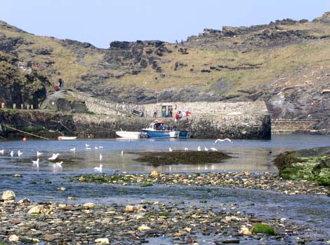 Boscastle harbour