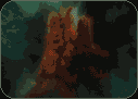 Eagle Nebula