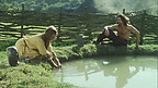 Celtic Water Gods
