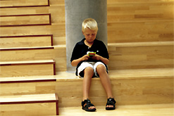 Hellerup School, Copehangen
