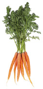 Carrots.