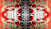 Poppies & Memorial...