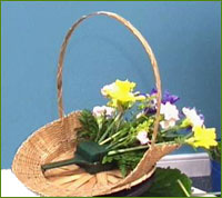 insert daffodils