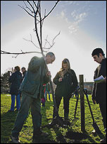 Planting the first trees 