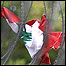 پرچم لبنان بين سيم خاردار