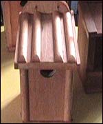 Picture: Bird box made by Mr Freeman