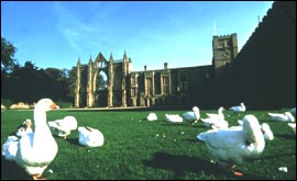 Newstead Abbey