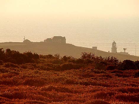 Pendeen Watch