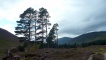 View from Derry Lodge to Cairngorm plateau