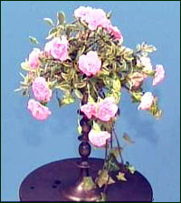 don't forget to fill in the back of your display