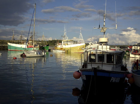 Padstow harbour